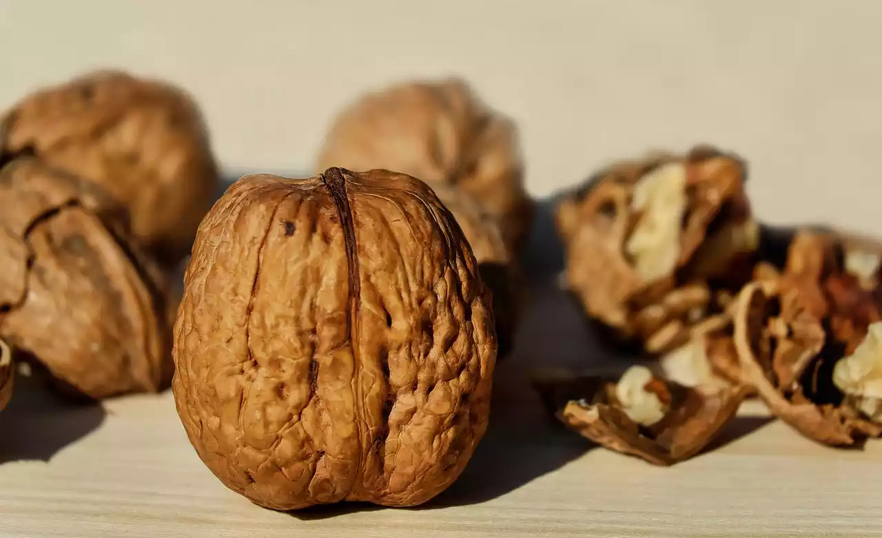 nueces en el desayuno