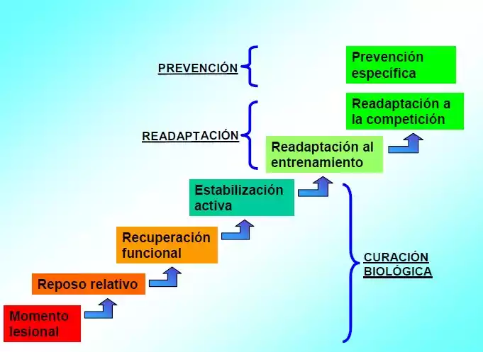 proceso recuperación deportista