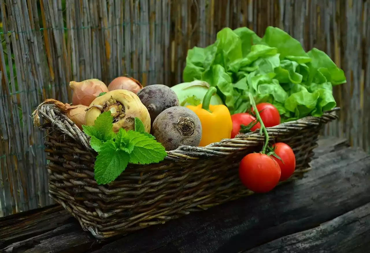 verduras nutrición