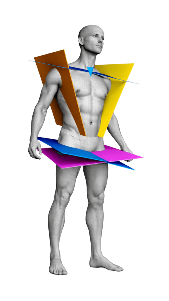 3D sections