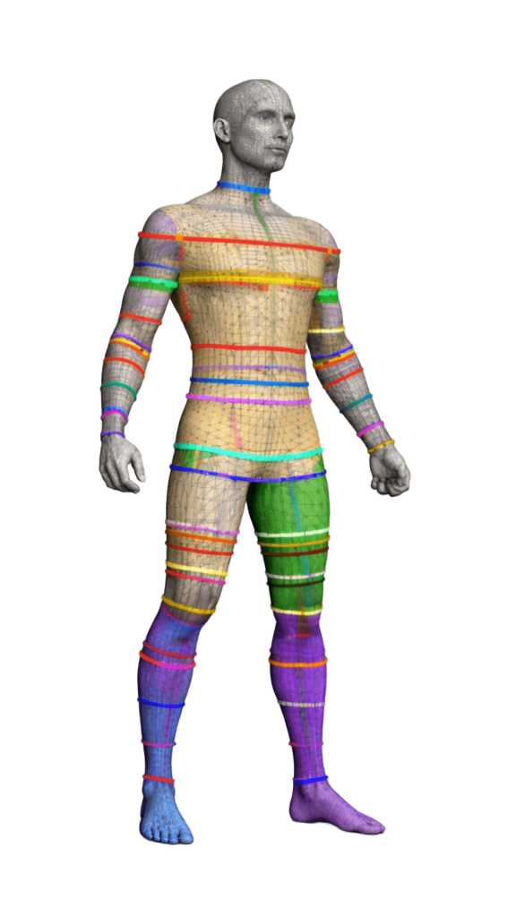 Body map