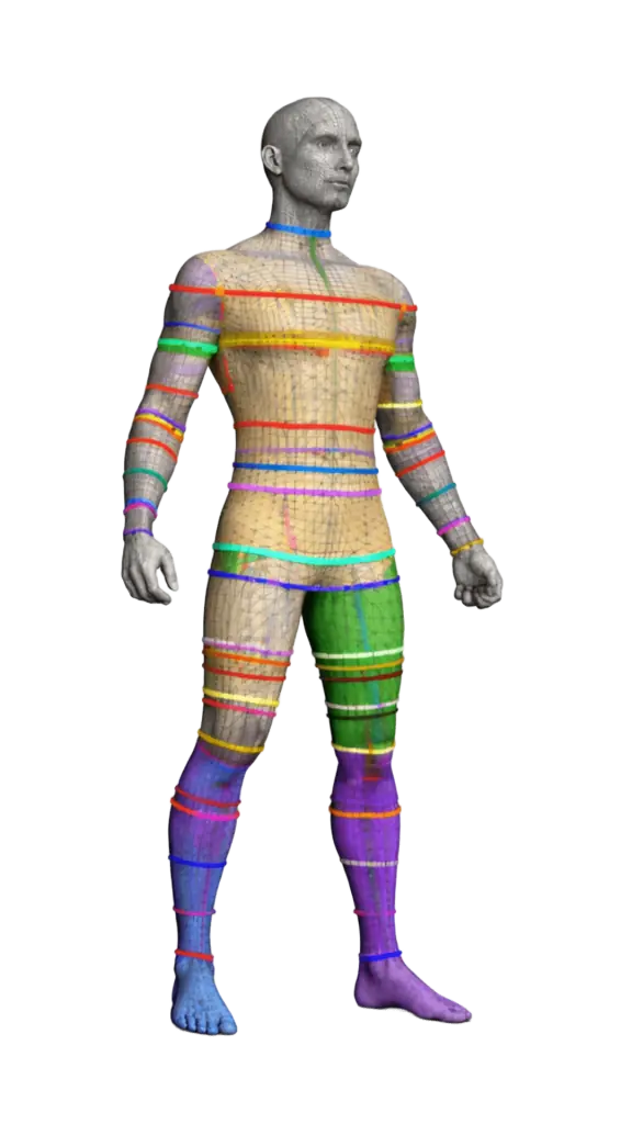 Body map