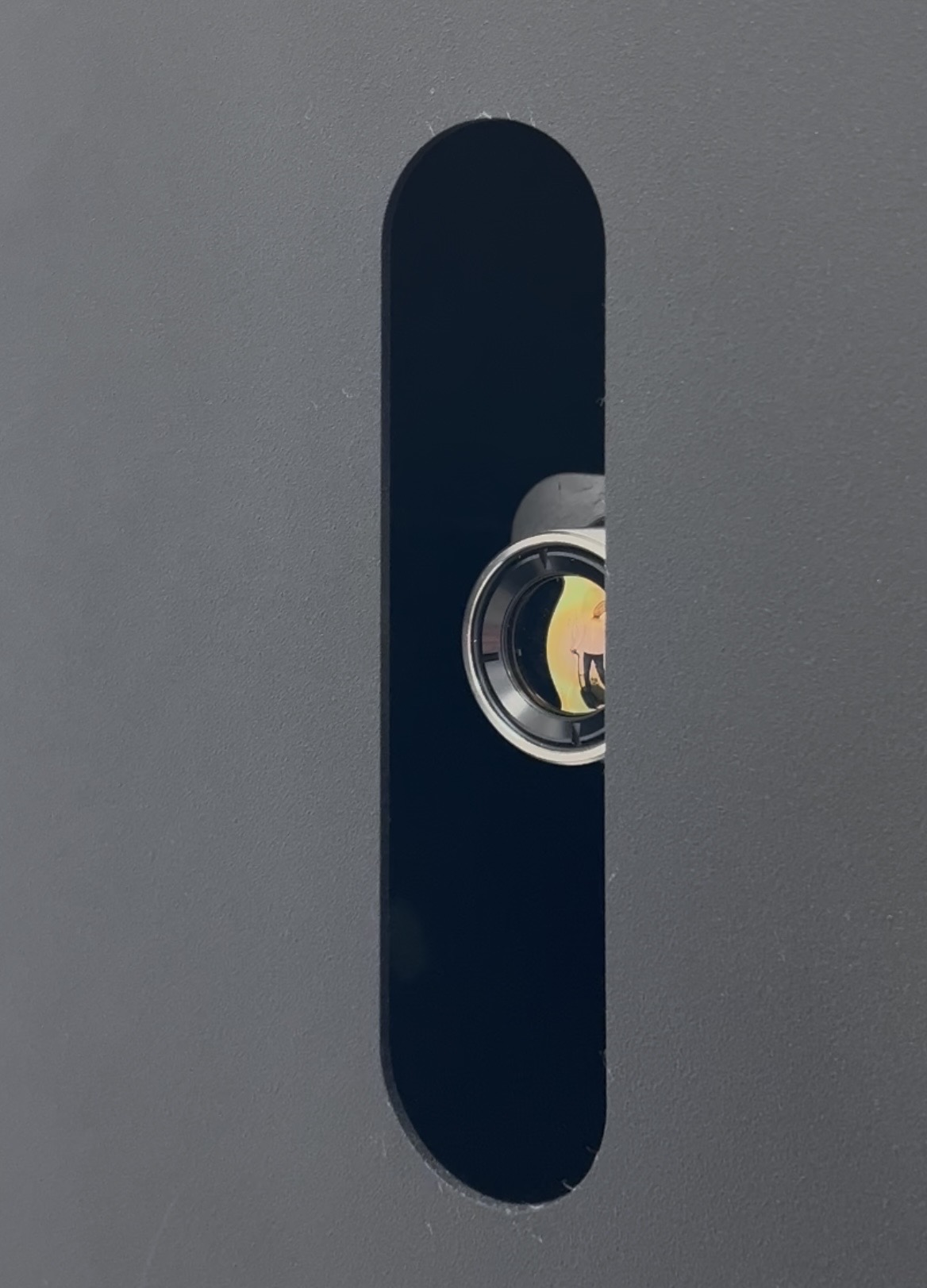 iNuba Totem NEO thermographic camera