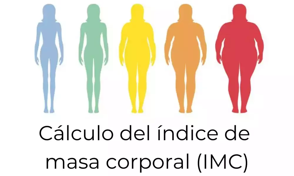 Cálculo del índice masa corporal IMC