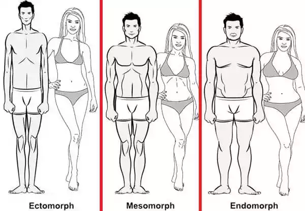 diferentes tipos de cuerpo
